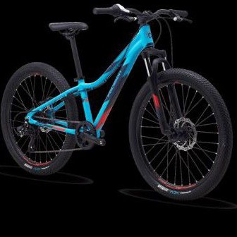 SEPEDA POLYGON MTB - JUNIOR RELIC 24
