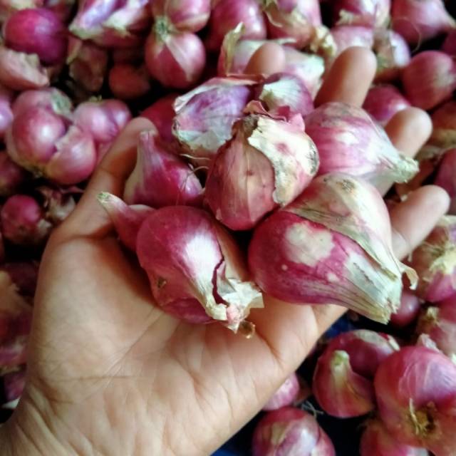 

Bawang Merah Super, Besar dan Kering