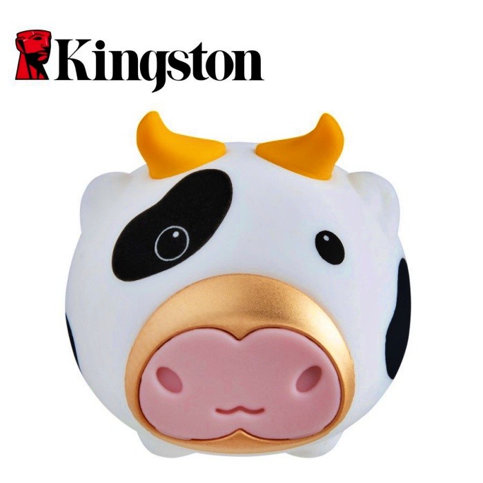 FLASHDISK KINGSTON SAPI 64GB (DTCNY21)