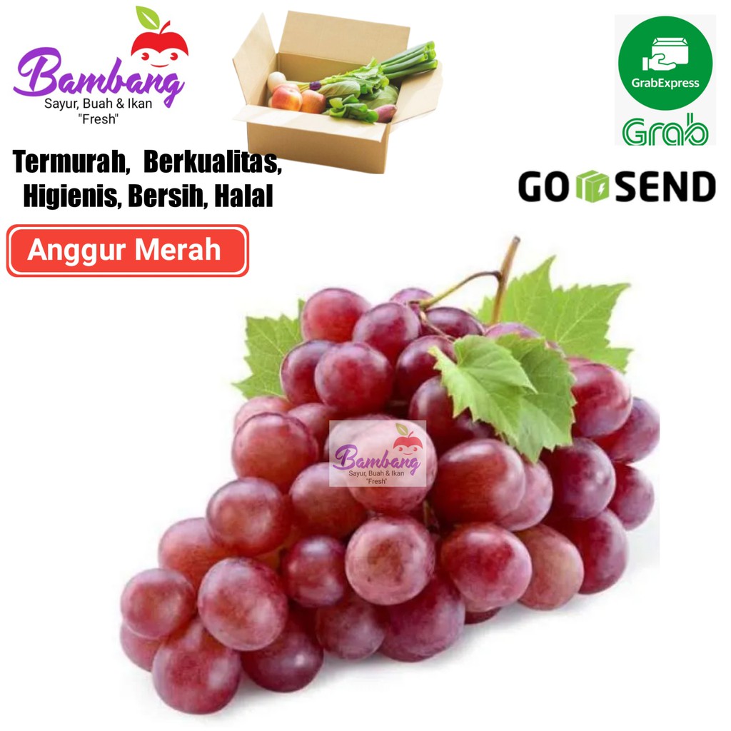 

buah anggur merah 1 kg