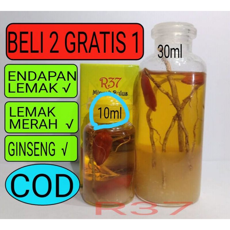 MINYAK BULUS GINSENG MERAH R37 AROMA MELON MINYAK BULUS R37 10ml ASLI ORI ORIGINAL