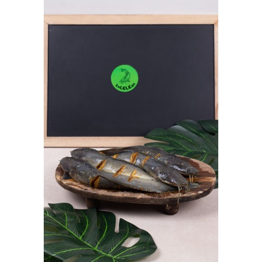 

lele bumbu isi 8 dan 5 ekor