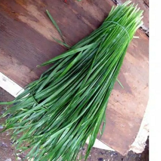 

Daun kucai segar perikat