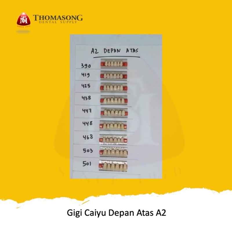Gigi Palsu Caiyu Depan Atas A2
