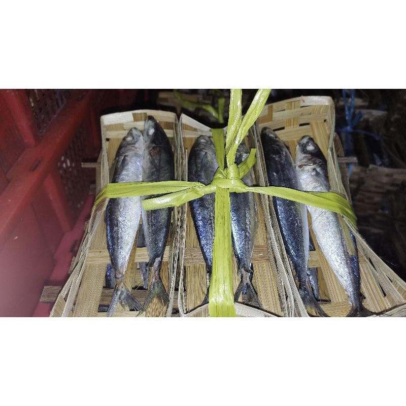

ikan layang cue keranjang salem dan layang