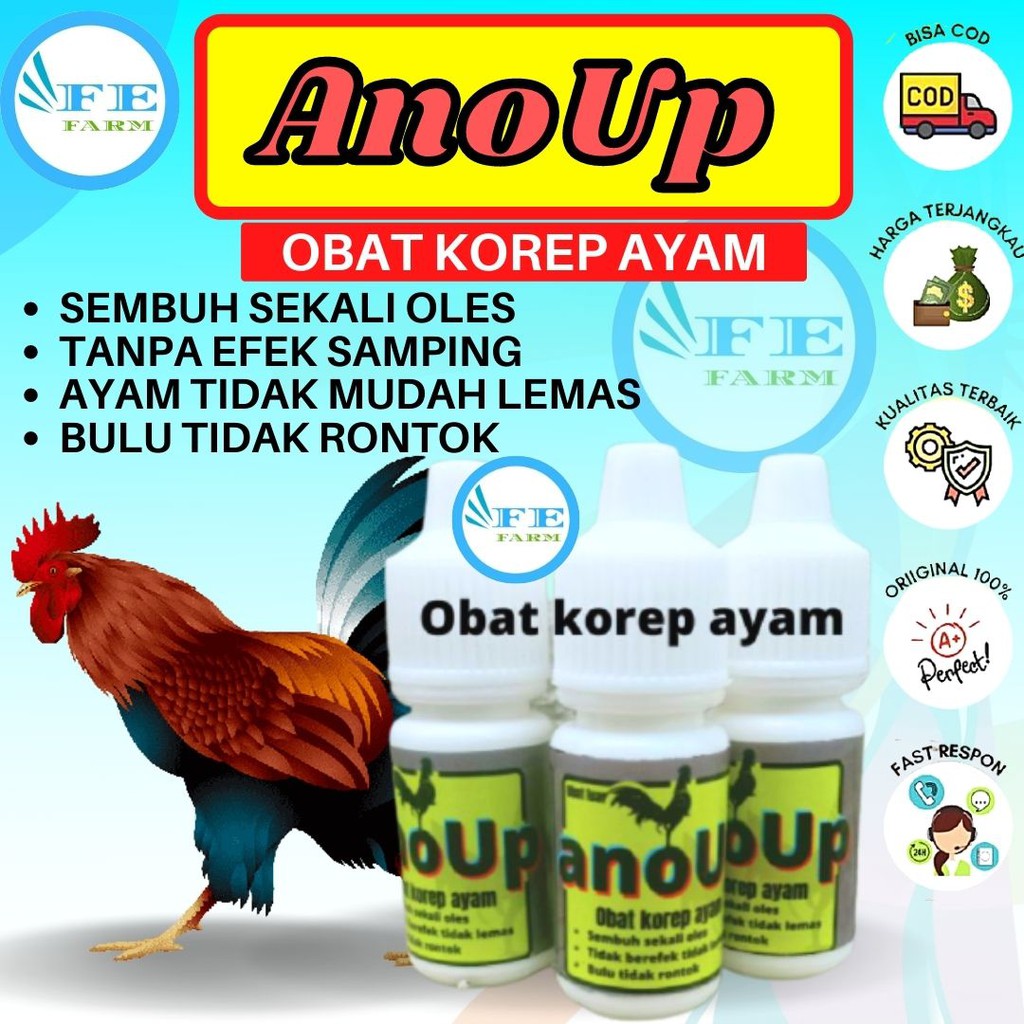 Obat Korep Ayam Ampuh Bulu Tidak Rontok Tanpa Efek FEFARM