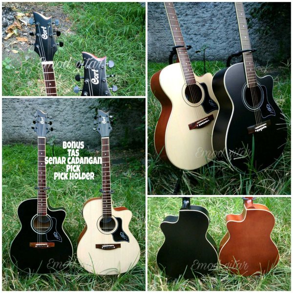 gitar akustik cort