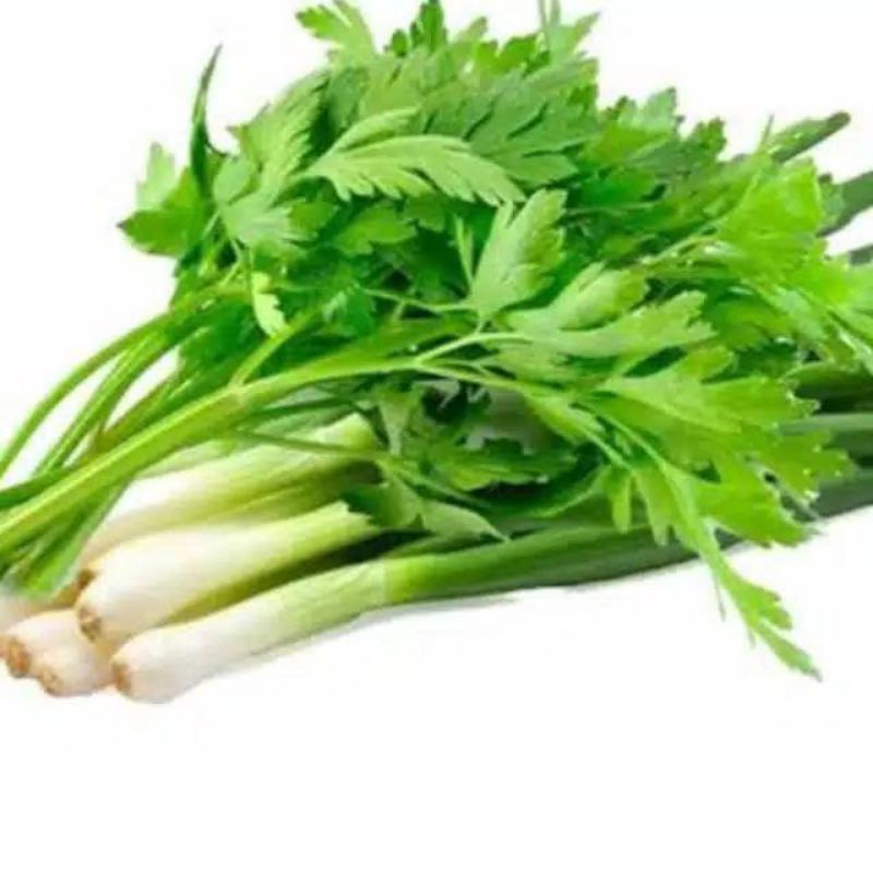 

Daun Bawang Pre / Daun Sop 1 ons