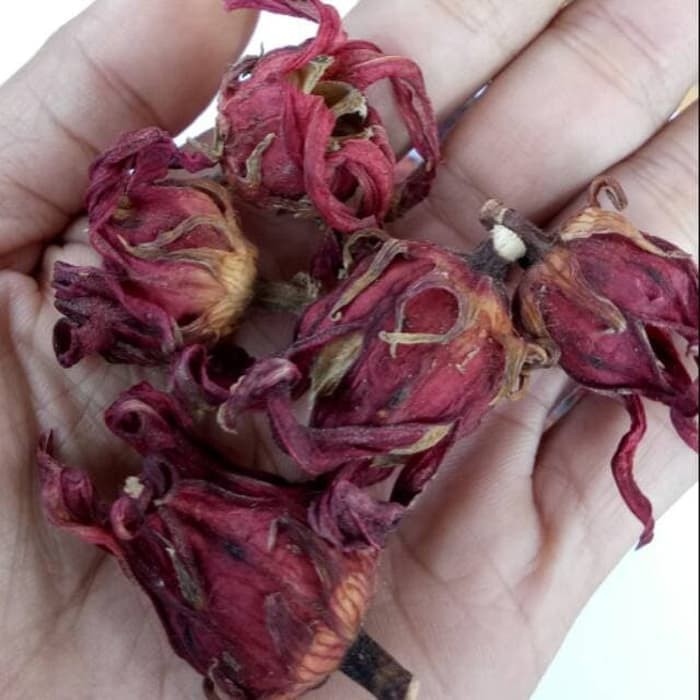 

Teh seduh Bunga Rosella merah Sari Rosela kering Herbal Asli Original