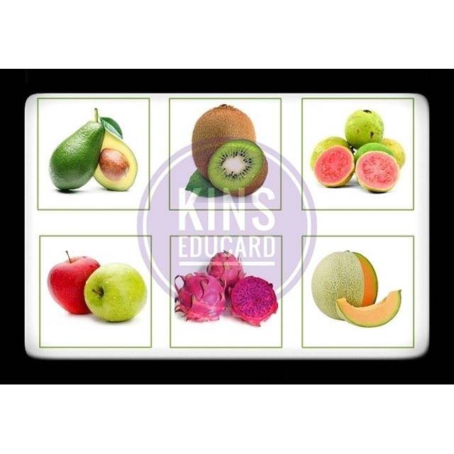 

Flash card buah laminating