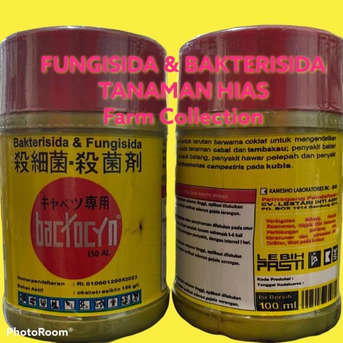<<<<<] Bakterisida Fungisida BACTOCYN 100 ml