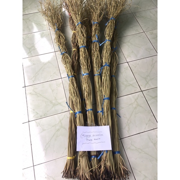 Akar manon Akar Mentau isi 50 untuk dekorasi Ring