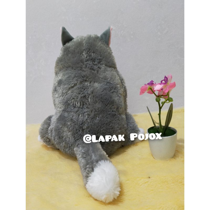 Boneka Kucing Gendut Lucu