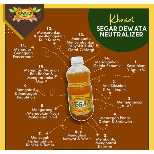 SEGAR DEWATA BALI - BAKAR LEMAK DAN KOLESTEROL 100% ASLI BALI - BAKAR LEMAK