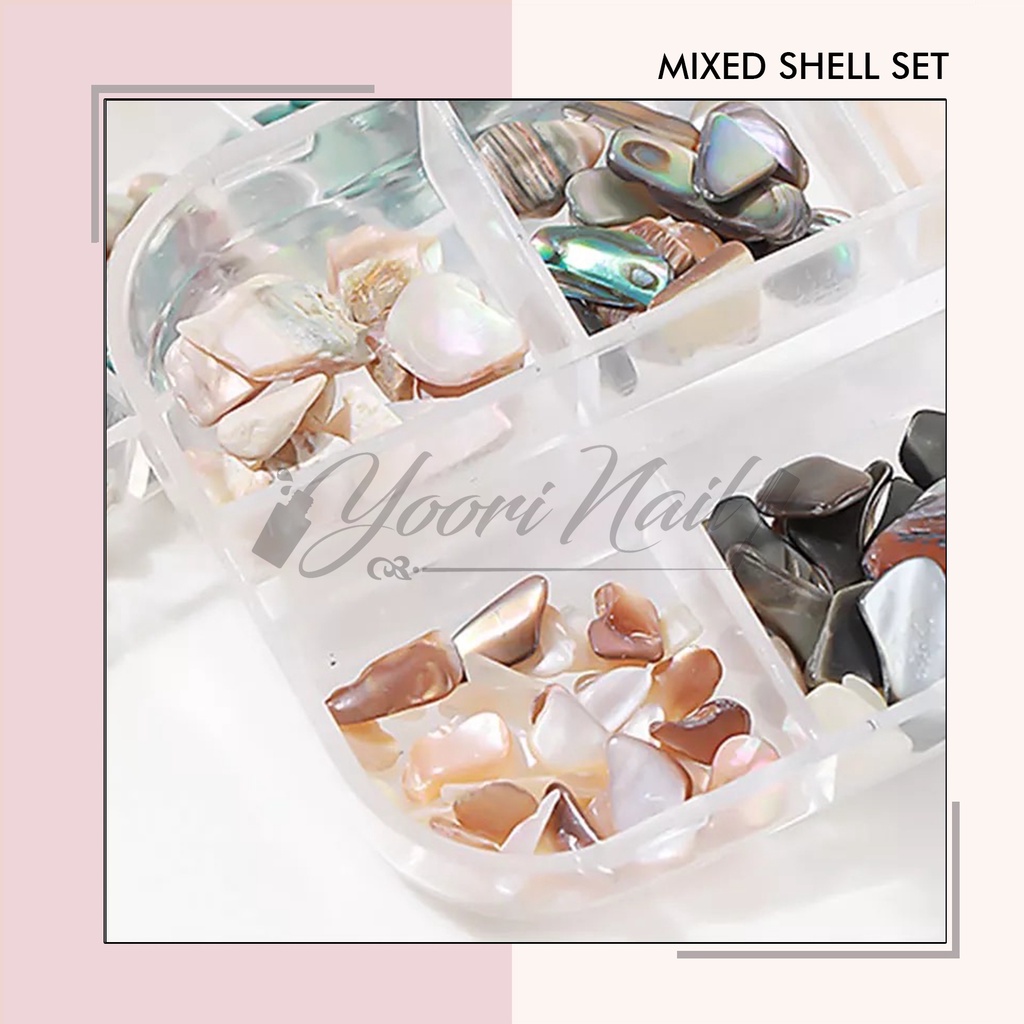 Mixed shell set 12 grid nail art mixed decorations potongan batu kerang flake ocean shell