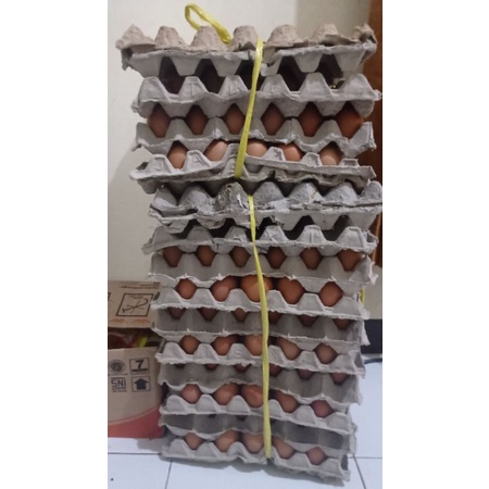 

telur fresh