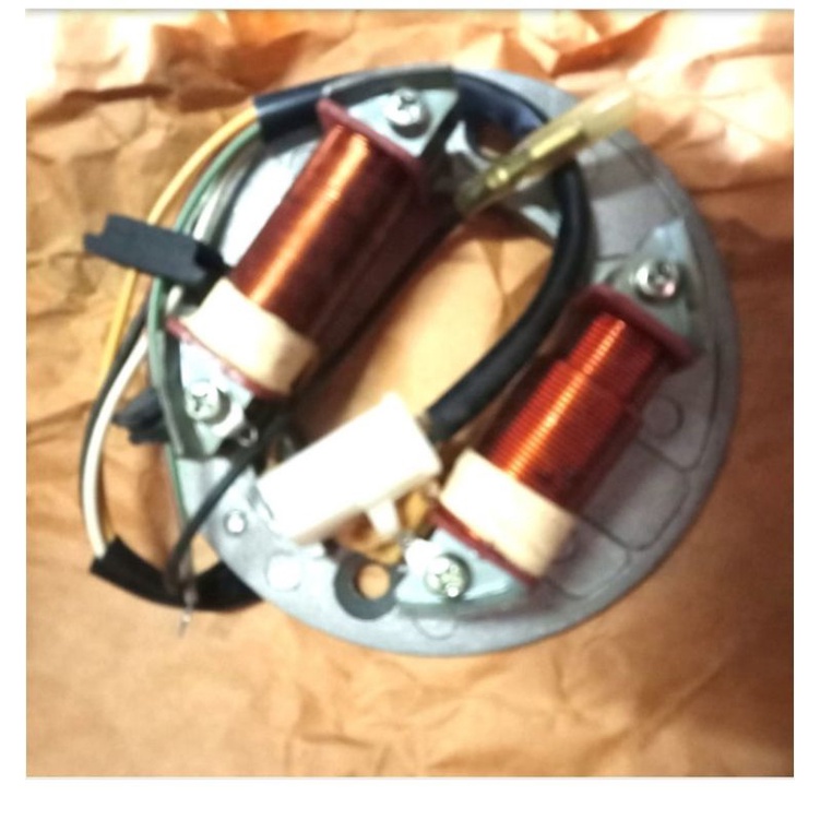 spull assy pengapian C700/31120-GB0-92