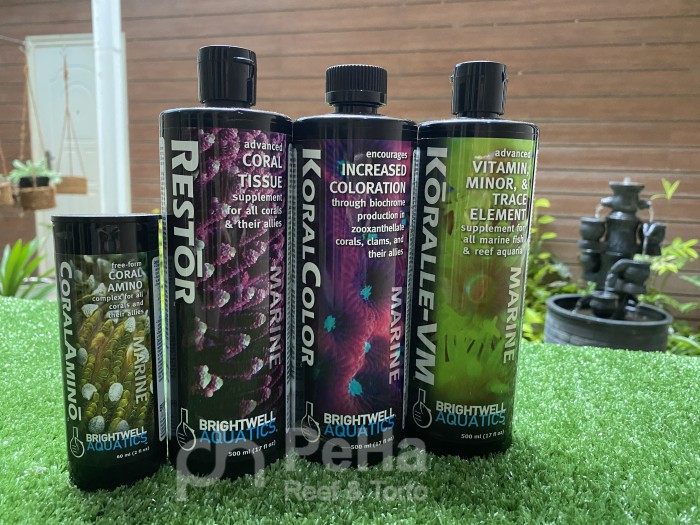 Amino, Coral Food &amp; Pencerah Warna Coral Brightwell - bukan AB+ - isi4