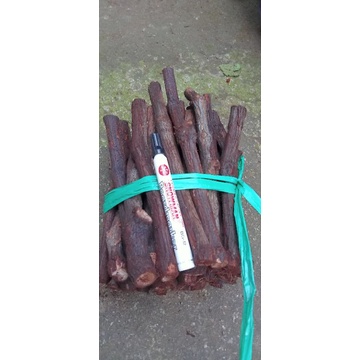 cutting anggur jenis Alfonso berkalus dan akar dan fresh paket 1kg