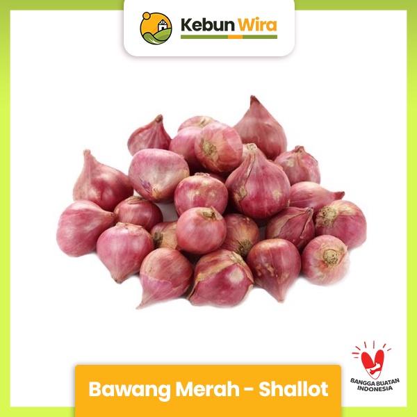 

Bawang Merah | Shallot 500gr