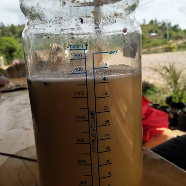 

Madu trigona Itama