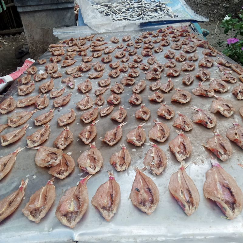 

ikan asin&tawar94(500gr)