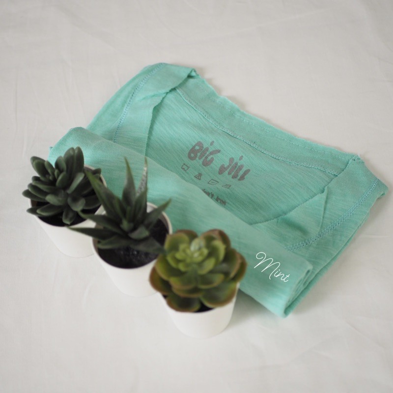 BigJill-Plain Short Sleeve Page 3-Mint