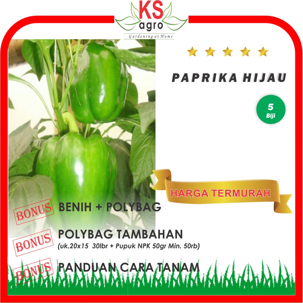 BENIH PAPRIKA HIJAU BIBIT SAYURAN UNGGUL TERLARIS