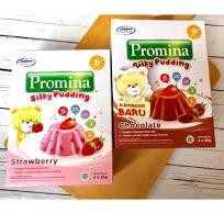 

PROMO 7.7 Promina Silky Pudding 8-9bln++ Strawberry / Chocolate 100gr