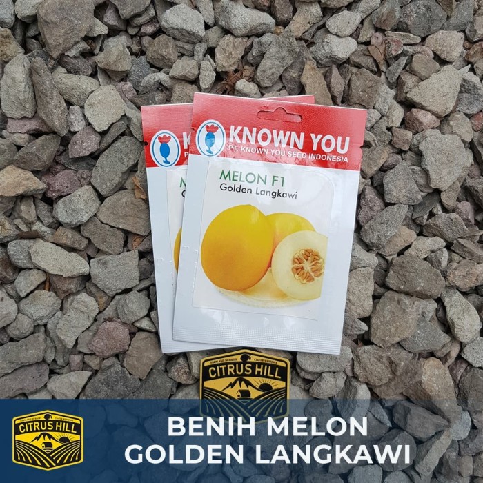 Langsung Order Benih Melon Golden Langkawi Known You Seed SP Berkualitas