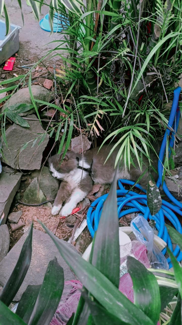 Couple Tunik Batik Lengan Panjang