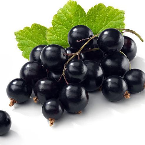 

gvt80 Bubuk Sirup Blackcurrant / Blackcurrent Powder Syrup Serbuk Minuman Powder Drink GKC Heritage 50 gr .,