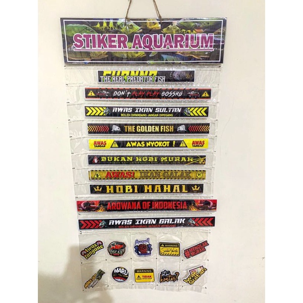 PAKET isi 70pcs stiker channa , sticker channa gratis tempat stiker / packaging Sticker ikan CHANNA AQUARIUM, STICKER, antiAIR stiker ikan hias, cana stiker predator , stiker iwak galak