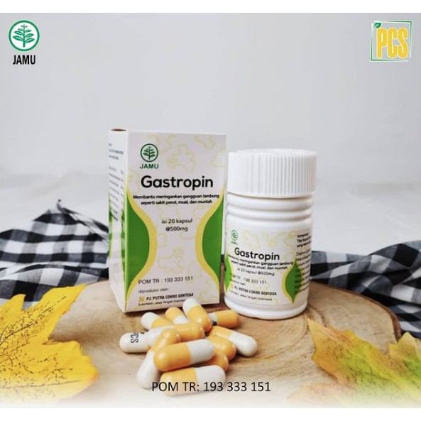 GASTROPIN obat maag/gangguan lambung/nyeri Lambung isi 20 Kapsul