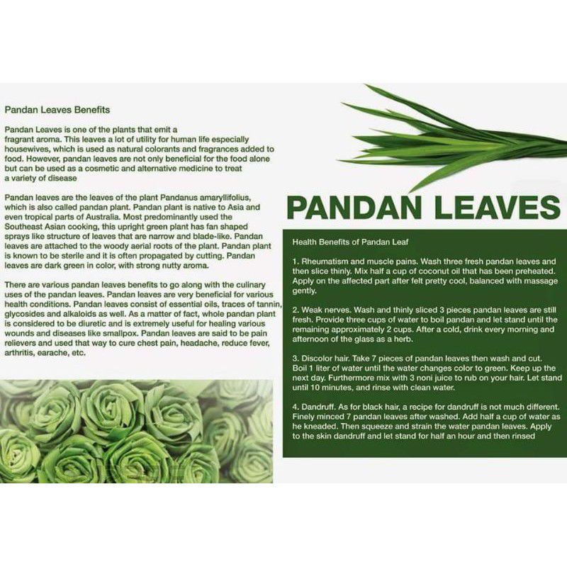 

RK12 RAW TISANE Fragrant Pandan Leaf With Lemongrass Tea : Teh Daun Pandan Wangi & Serai Isi 30 Tea