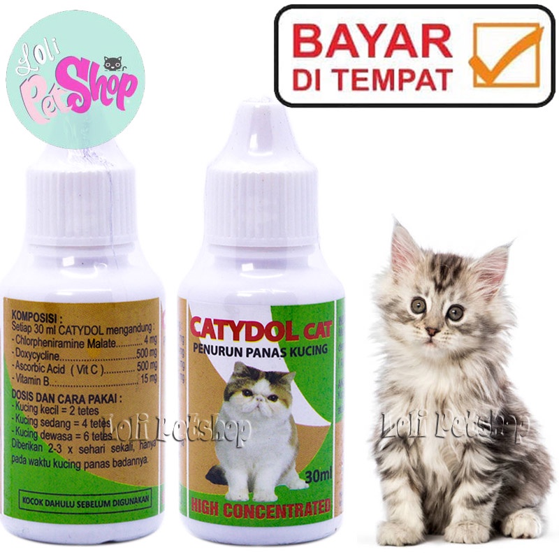 CATYDOL CAT OBAT PANAS KUCING DEMAM ANAK KUCING KITTEN