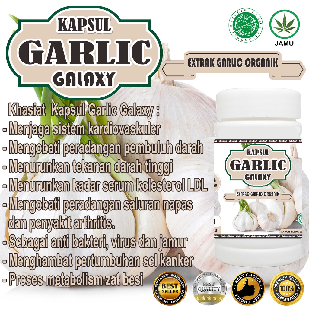 Kapsul Extrak Garlic Kapsul Bawang Putih Kapsul Garlic Kapsul Extract Garlic ORIGINAL GARLIC OIL