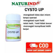 Cysto Up (kista)