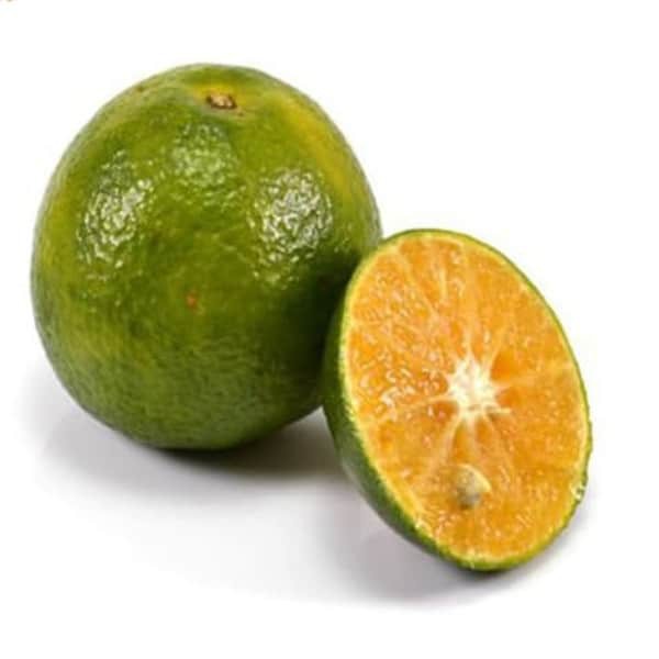 

Jeruk peres 1kg