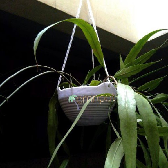 Pot Bunga Tanaman Gantung Gentong Size L kode 8857