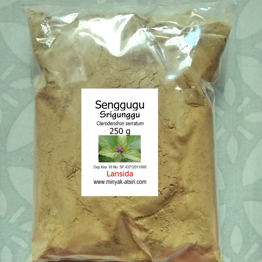 Bubuk Daun Srigunggu 250 g Serbuk Senggugu Simplisia Sirgunggu Sagunggu Clerodendron