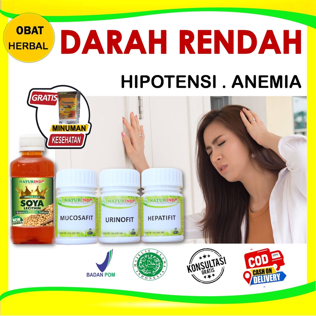 Jual Obat Darah Rendah Penambah Hb Rendah Anemia Kurang Darah