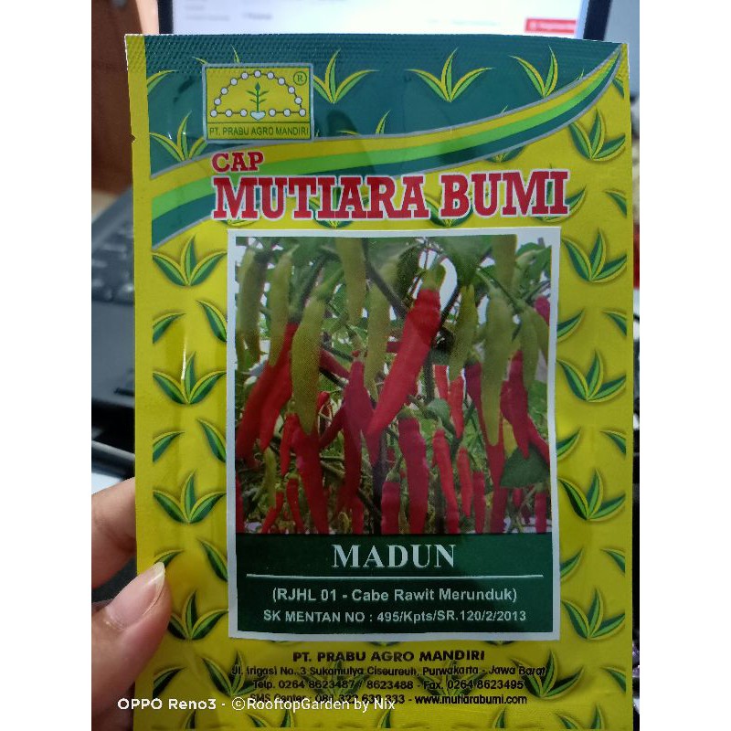 CB17/5 - benih biji bibit kemasan seribu ecer MADUN cabe rawit setan cabe rawit putih super pedas