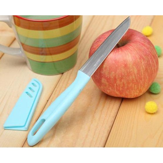 PISAU DAPUR / PISAU KECIL TAJAM