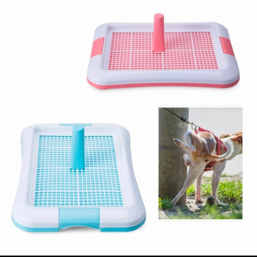 Ready Pet Toilet Tray Large Dog- Pee Pad Training Anjing