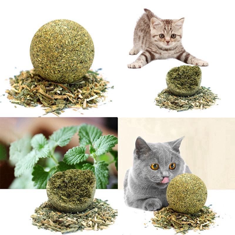 Catnip Ball Snack Cemilan Kucing Bola Cat Nip Pet Toy Mainan Kesehatan