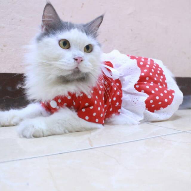 Dress polkadot merah spesial 17an merdeka / dress kucing dan anjing murah size S M L XL