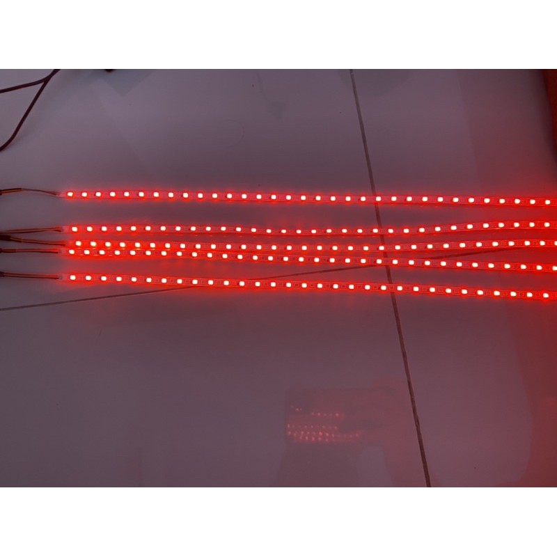 Led Cumi PLAT NOMOR 45cm 12 Volt 2 Warna