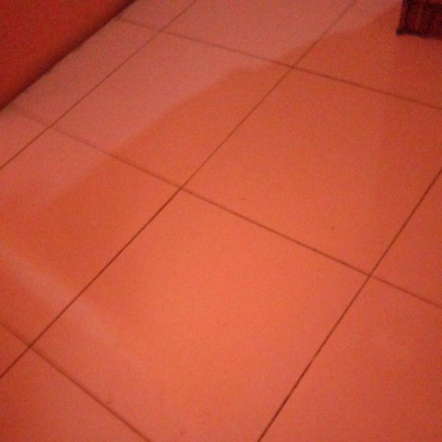 Shower Curtain / Tirai Kamar Mandi Peva 180x180 Anti Air