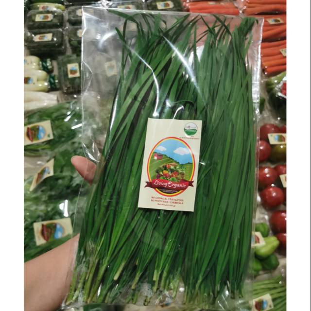 

Daun Kucai Organik || 200gr || Chives Organic